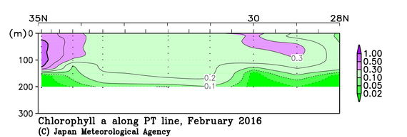 日本南方の2016年冬季のクロロフィル