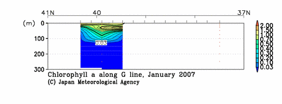 日本海の2007年冬季のクロロフィル