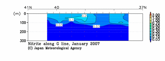 日本海の2007年冬季の亜硝酸塩
