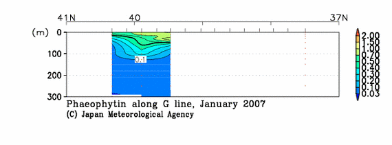 日本海の2007年冬季のフェオフィチン