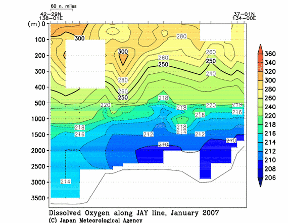 日本海の2007年冬季の溶存酸素量
