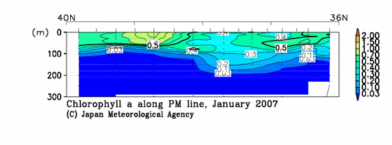日本海の2007年冬季のクロロフィル