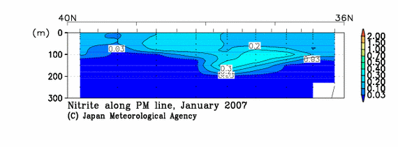 日本海の2007年冬季の亜硝酸塩