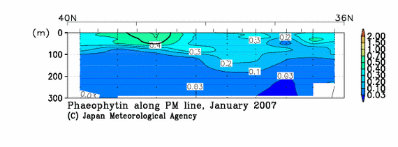 日本海の2007年冬季のフェオフィチン