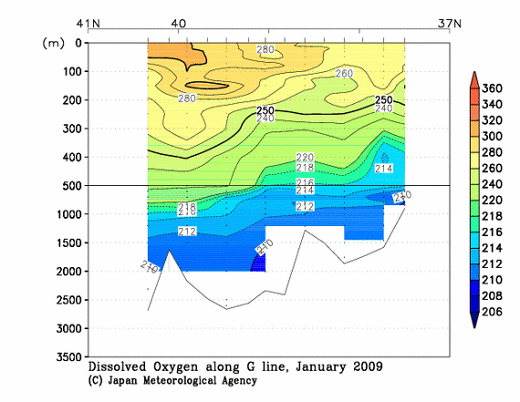 日本海の2009年冬季の溶存酸素量