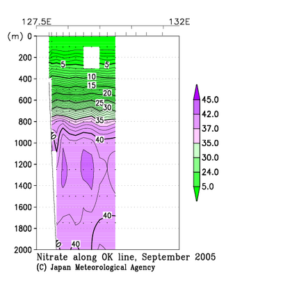 九州・沖縄海域の2005年秋季の硝酸塩