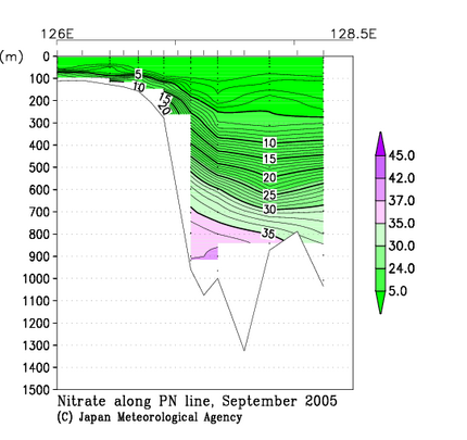 九州・沖縄海域の2005年秋季の硝酸塩