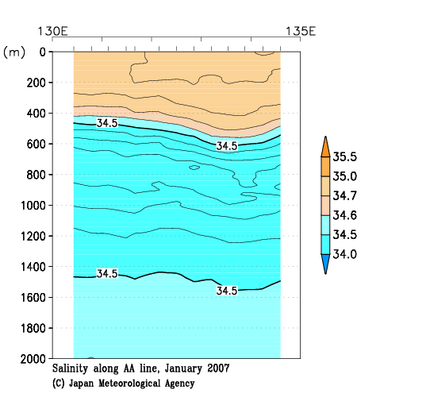 九州・沖縄海域の2007年冬季の塩分