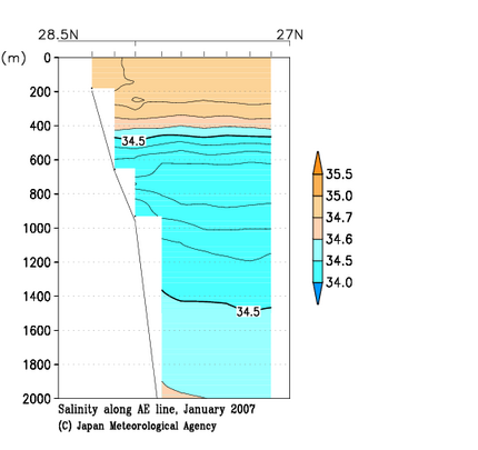 九州・沖縄海域の2007年冬季の塩分