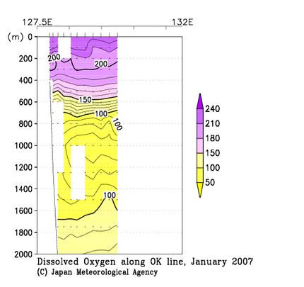 九州・沖縄海域の2007年冬季の溶存酸素量