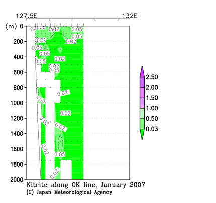 九州・沖縄海域の2007年冬季の亜硝酸塩