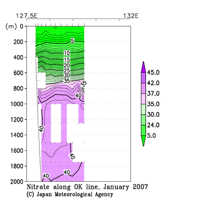 九州・沖縄海域の2007年冬季の硝酸塩