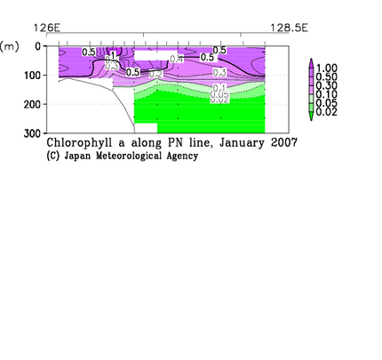 九州・沖縄海域の2007年冬季のクロロフィル