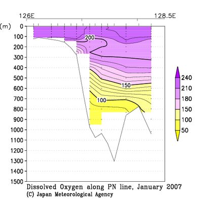 九州・沖縄海域の2007年冬季の溶存酸素量
