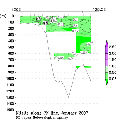 九州・沖縄海域の2007年冬季の亜硝酸塩