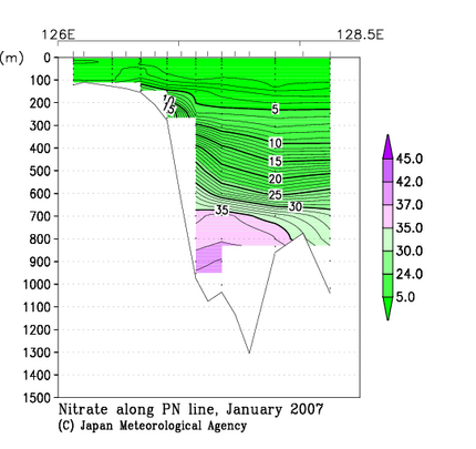 九州・沖縄海域の2007年冬季の硝酸塩
