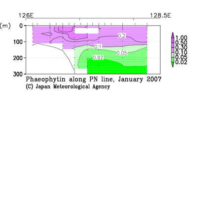 九州・沖縄海域の2007年冬季のフェオフィチン