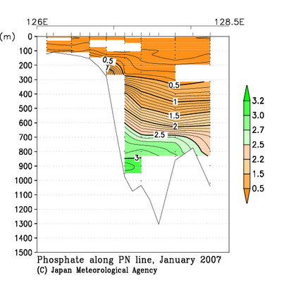 九州・沖縄海域の2007年冬季のリン酸塩