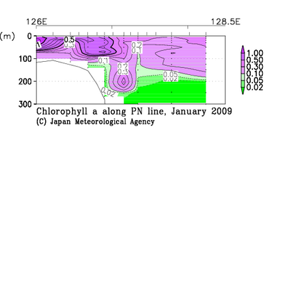 九州・沖縄海域の2009年冬季のクロロフィル