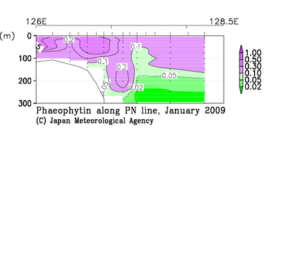 九州・沖縄海域の2009年冬季のフェオフィチン