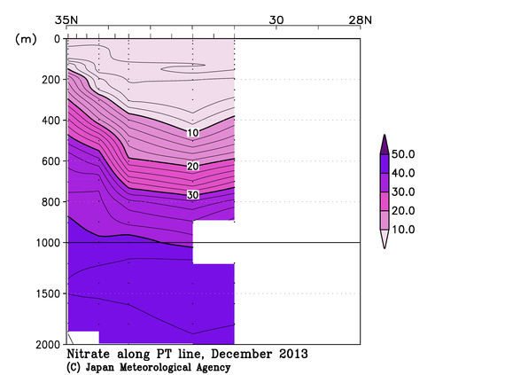 関東沖海域の2013年秋季の硝酸塩