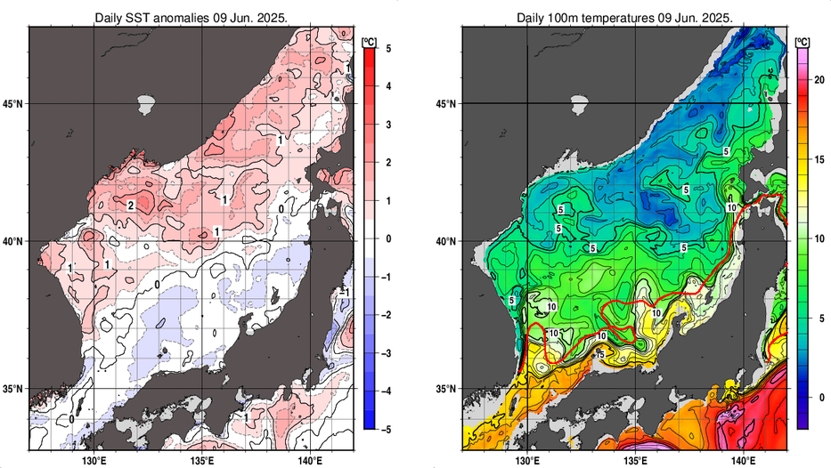 日本海の海面水温平年差分布図および深さ100mの水温分布図（6月9日）