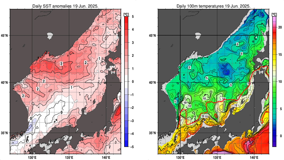 日本海の海面水温平年差分布図および深さ100mの水温分布図（6月19日）