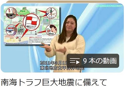 南海トラフ地震、津波動画