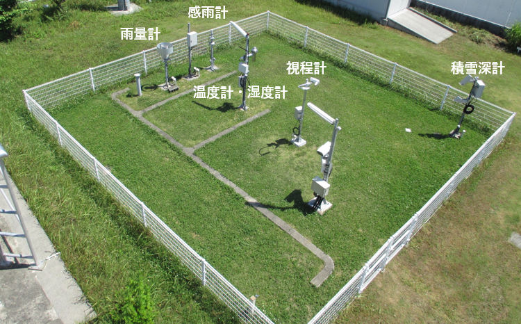 露場の写真