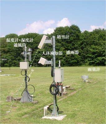 露場