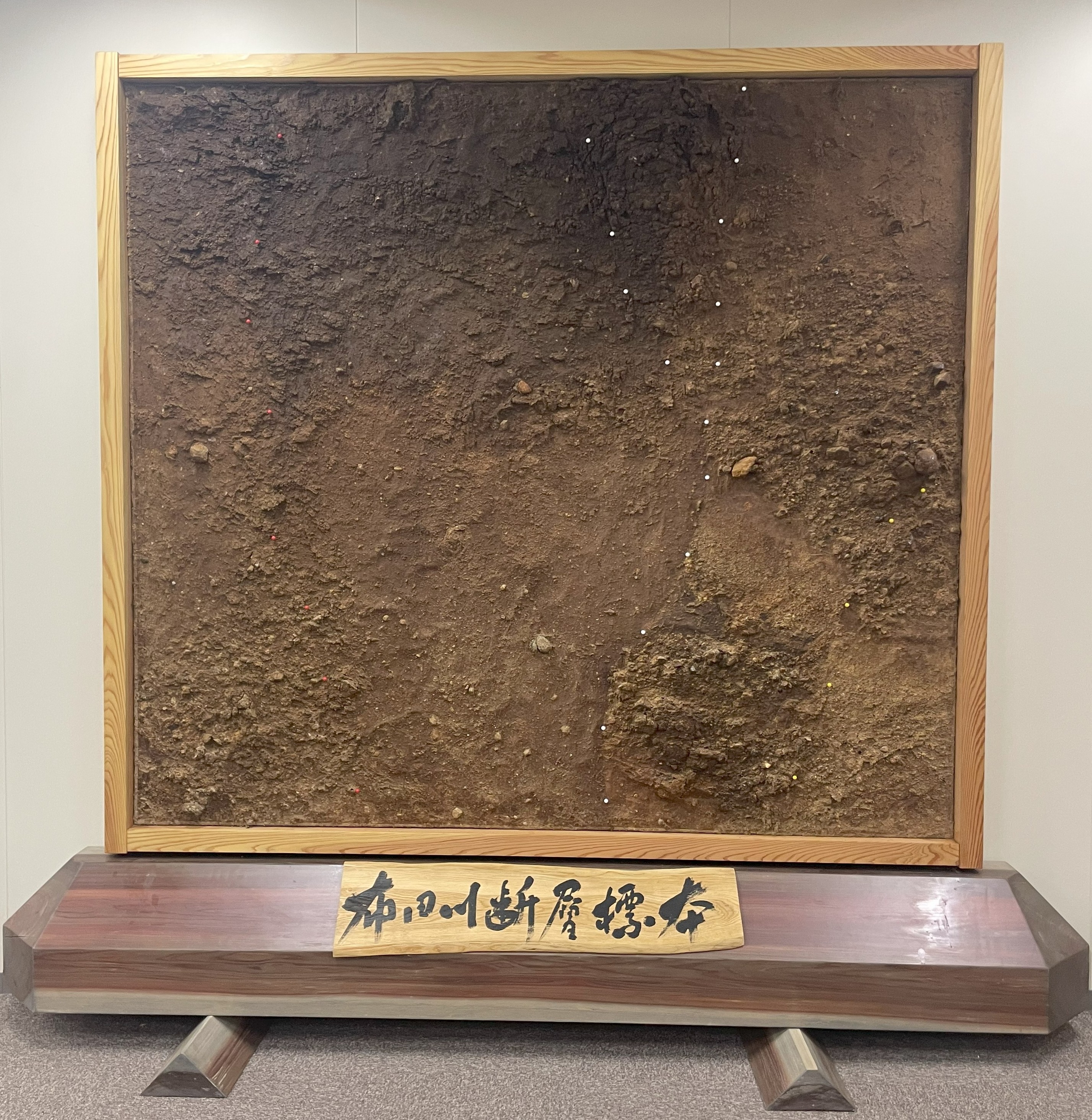 益城町田中地区での剥ぎ取り断層