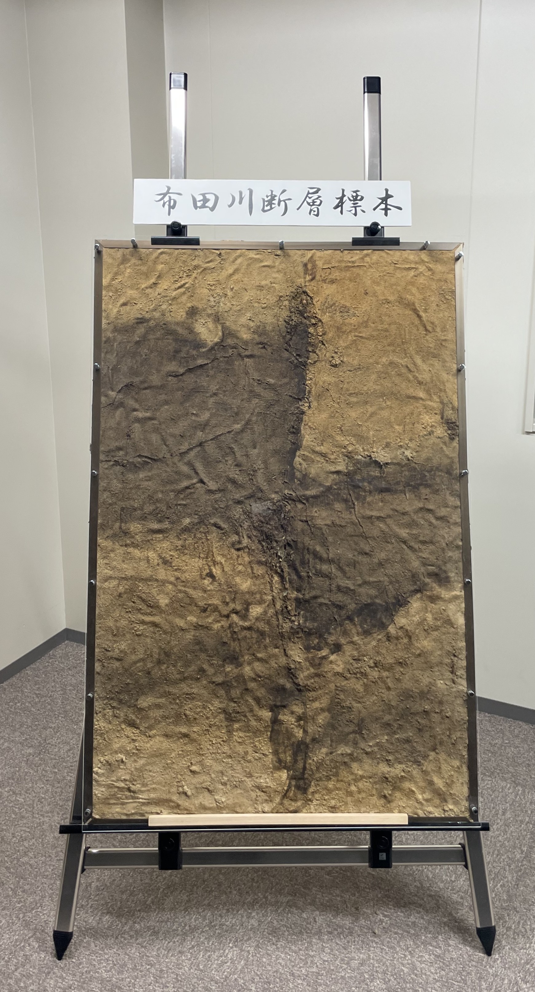 南阿蘇村河陽での剥ぎ取り断層