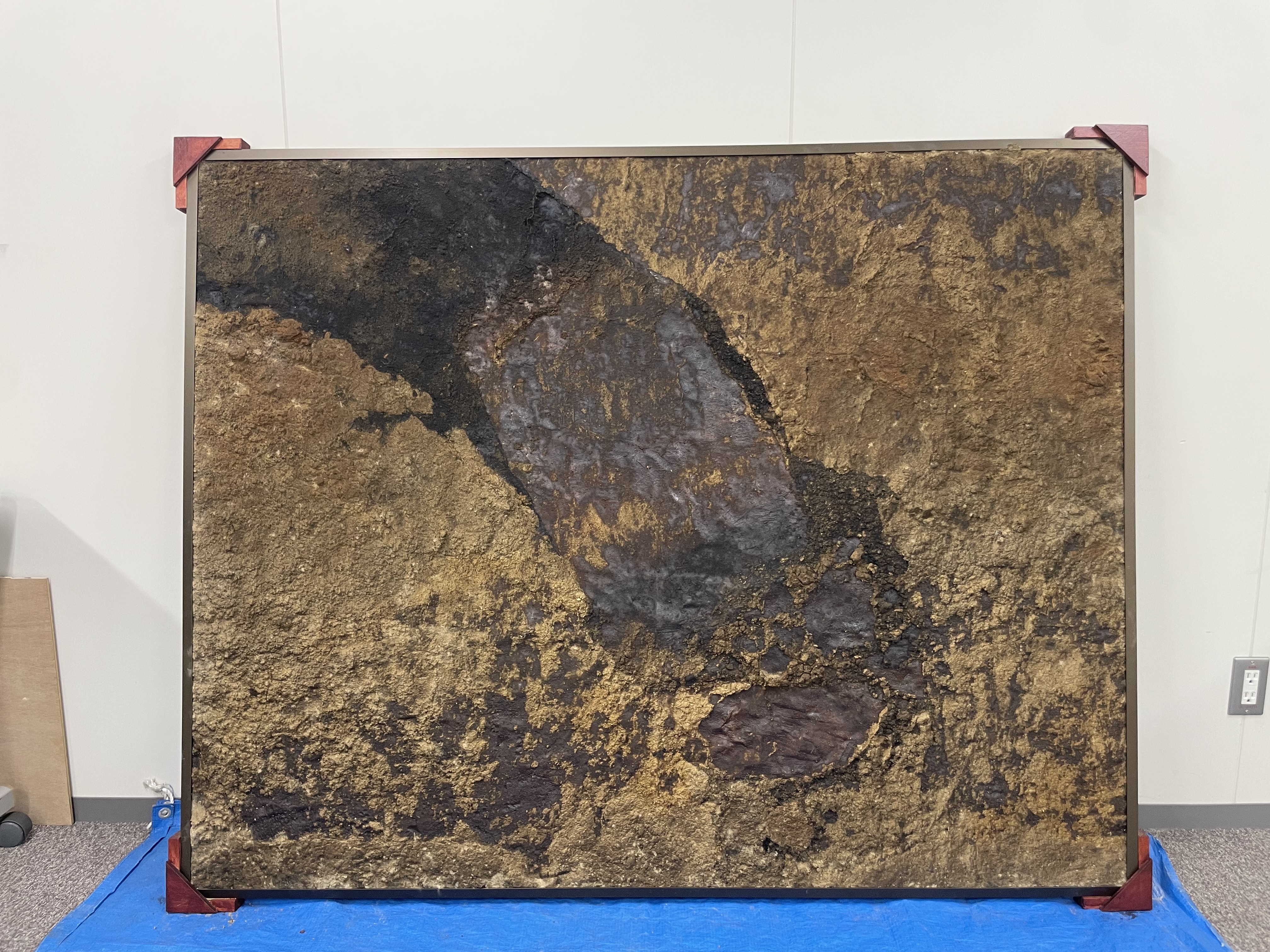 南阿蘇村下野での剥ぎ取り断層