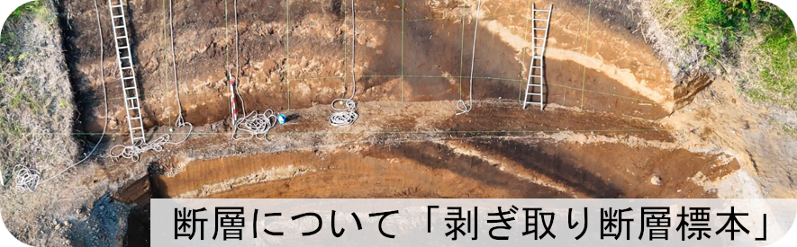 布田川断層帯の剥ぎ取り標本