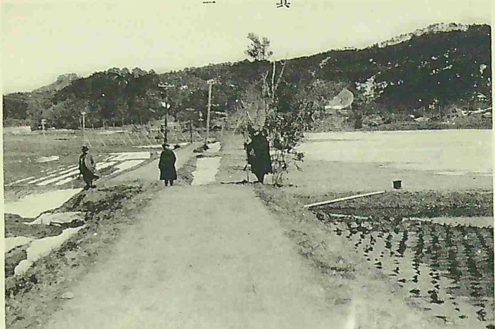 北丹後地震による道路の食い違い