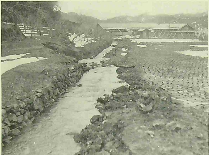 谷底の北側での地震断層　水路を斜断して左ずれをさせている