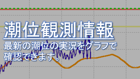 潮位観測情報