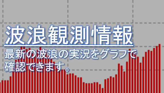 波浪観測情報
