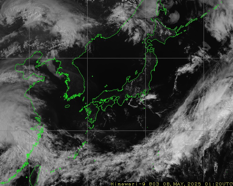 Himawari - Ostasien - Visuell