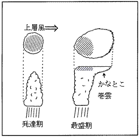 かなとこ巻雲の模式図