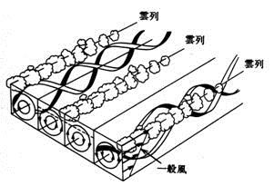 ロール状対流の模式図