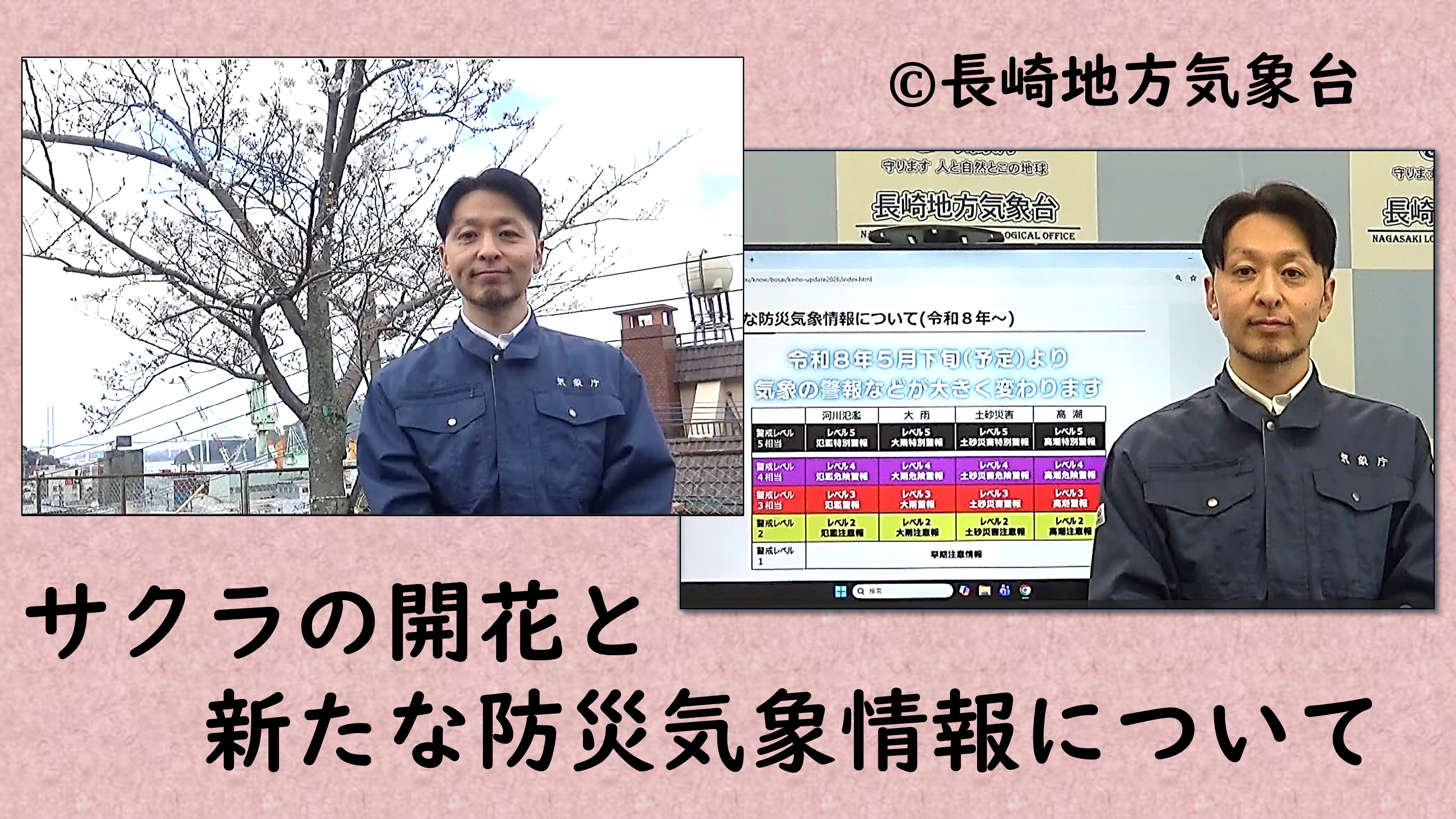 サクラが開花と新たな防災気象情報について！