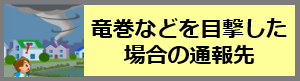 発見者通報