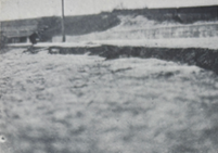 葛城川堤防の亀裂の写真