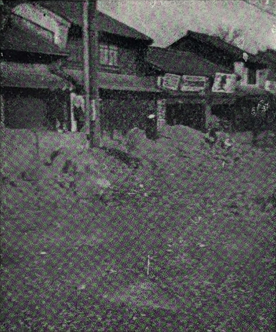 高田町（現大和高田市）の土塀（高さ約2ｍ、長さ10ｍ、厚さ40ｃｍ）東へ倒壊