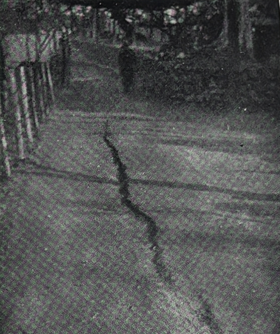 高田公園池畔道路の亀裂（方向は南北で幅3ｃｍ、長さ6ｍ）