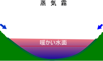 蒸気霧