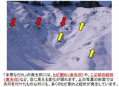 全層なだれの前兆現象