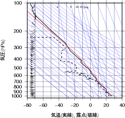 エマグラム画像