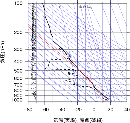 エマグラム画像